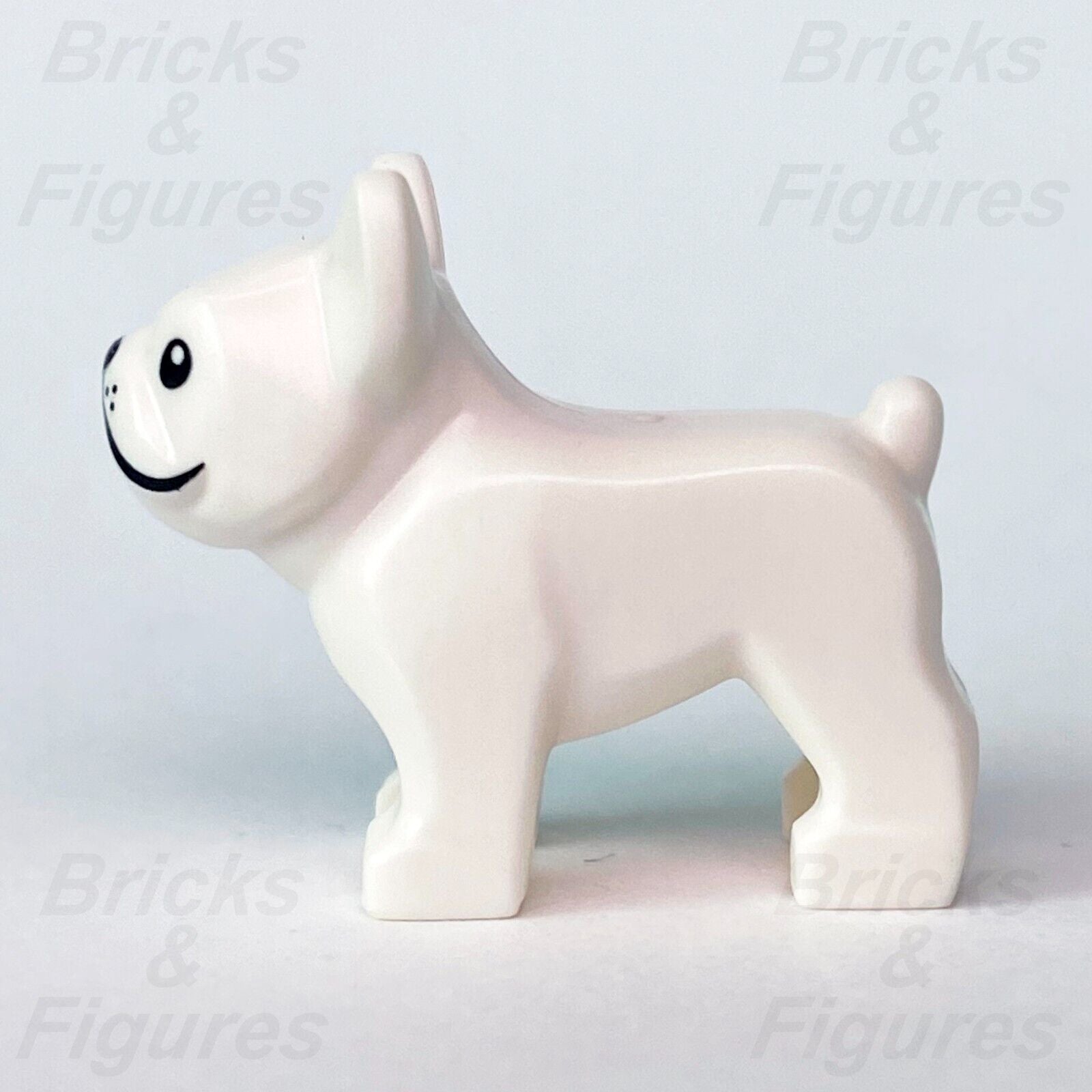 LEGO® Collectible Minifigures French Bulldog Eye Patch Dog Animal Part 71025 - Bricks & Figures